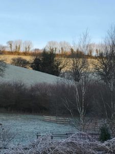 50524994_811614415854292_2176168433194893312_n