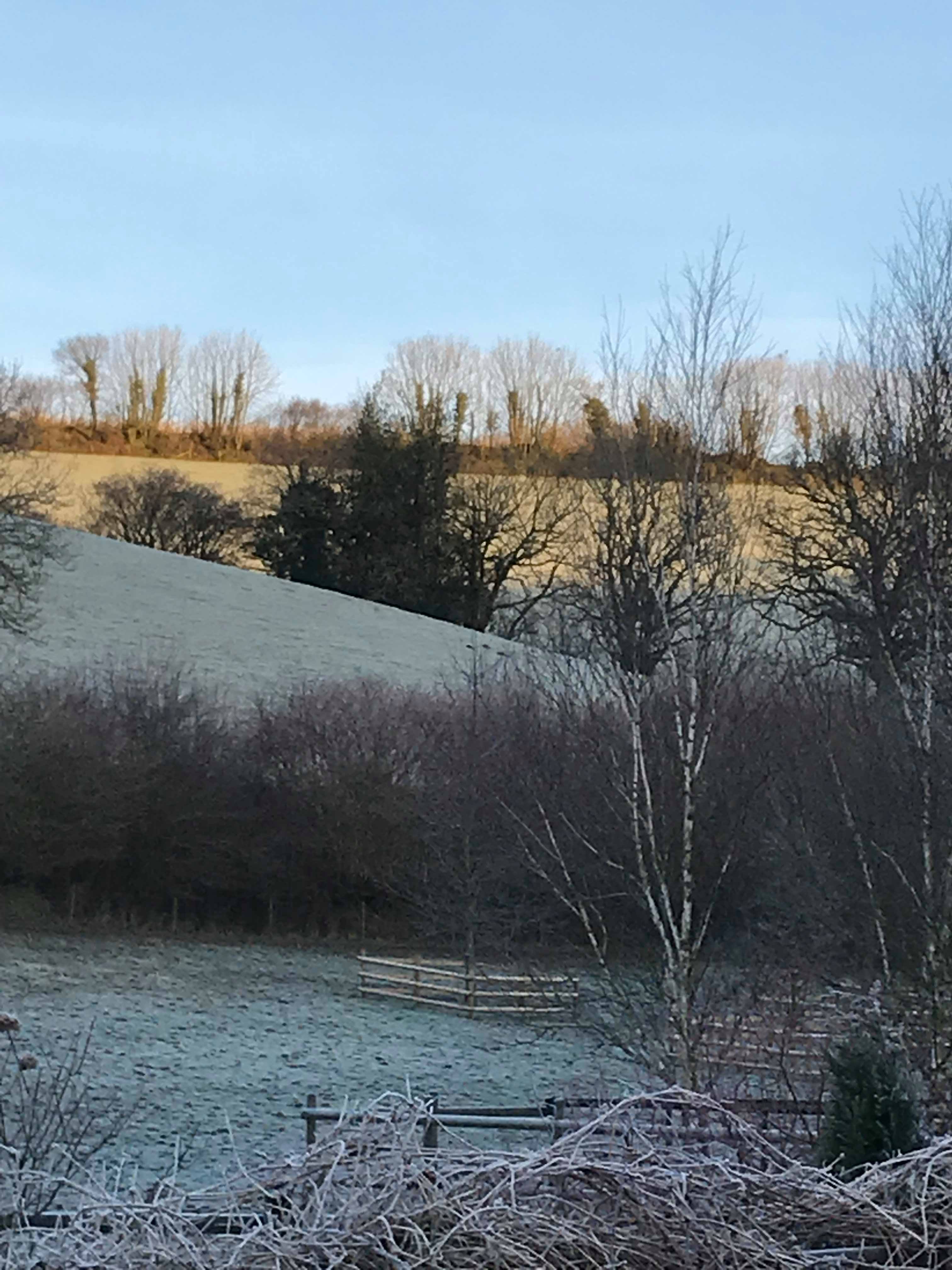 50524994_811614415854292_2176168433194893312_n