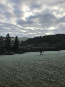 50527311_343115759742727_6808153411955982336_n