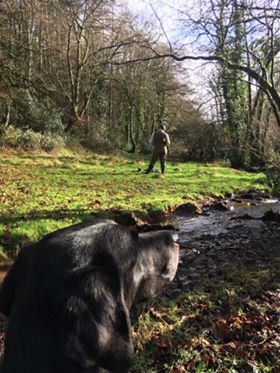 51771433_376586956458608_8784925338439254016_n