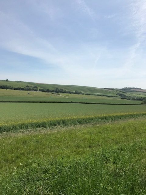 sd_20